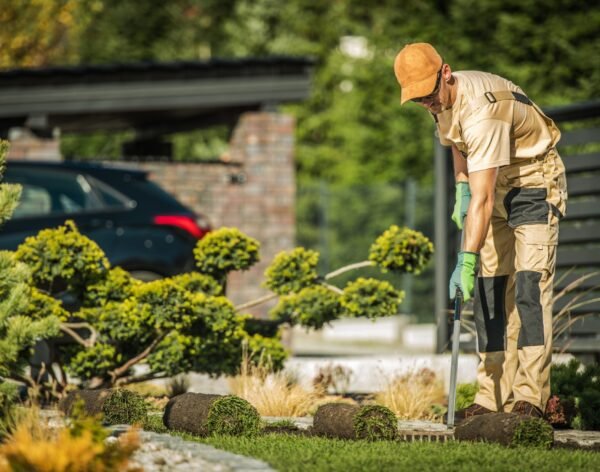 Autumn Garden Works. Caucasian Gardener in His 30s Installing New Natural Grass Turfs in Damaged Areas of the Lawn.